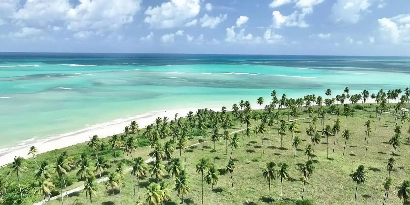 Aerial view of turquoise reef water, white sand and coconut palms on the Costa dos Corais